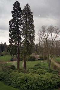 JARDINS DU CHÂTEAU DE THOIRY