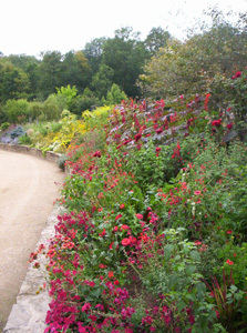 PARC DU CHÂTEAU ET JARDIN DES SENS