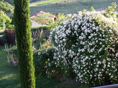 Le Nouveau Jardin de Bernard