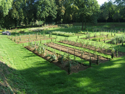 JARDIN DU PRIEURÉ SAINT PIERRE