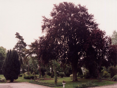 PARC DU CHÂTEAU D'HENDECOURT