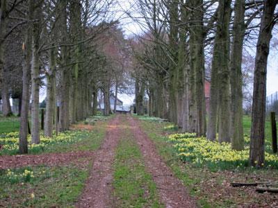 Parc du Château de Ménonval