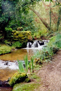 JARDINS EN HOMMAGE À JACQUES PRÉVERT