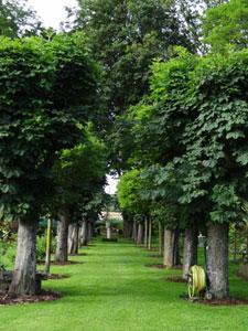 Le Jardin du Presbytère