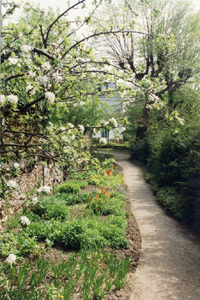 JARDIN DE JEAN-JACQUES ROUSSEAU