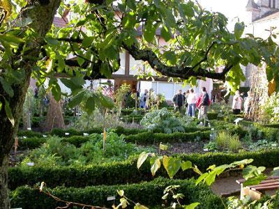 Potager et verger conservatoires du musée départementale du Revermont