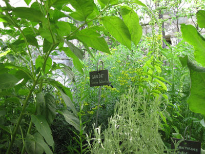 Jardin d'inspiration médiévale du donjon de Loches