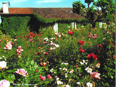 JARDIN DE LUSSEAU