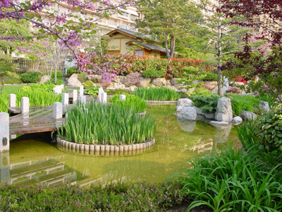 JARDIN JAPONAIS DE MONACO