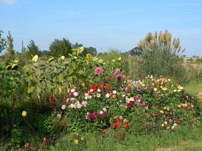 JARDIN BOTANIQUE DU VAL D'YSER