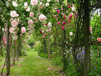 LE JARDIN DE GREIGNAC