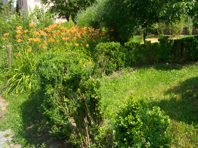 JARDIN SENSORIEL DU SITE DU NEUHOF