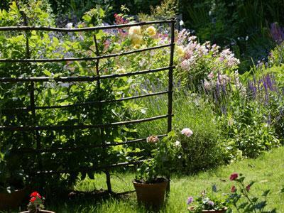 Le Jardin des Plantes de Chez Nous