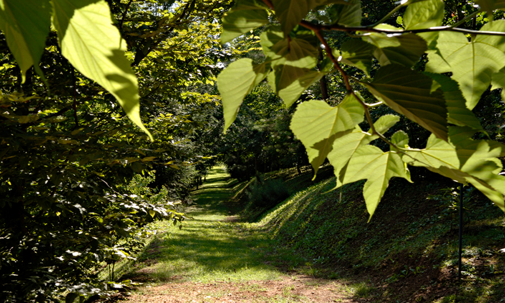 Parc à l'Anglaise la cude