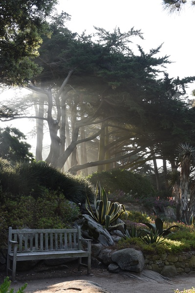 JARDIN GEORGES DELASELLE