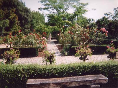 PARC DE LA VILLE BAGUE