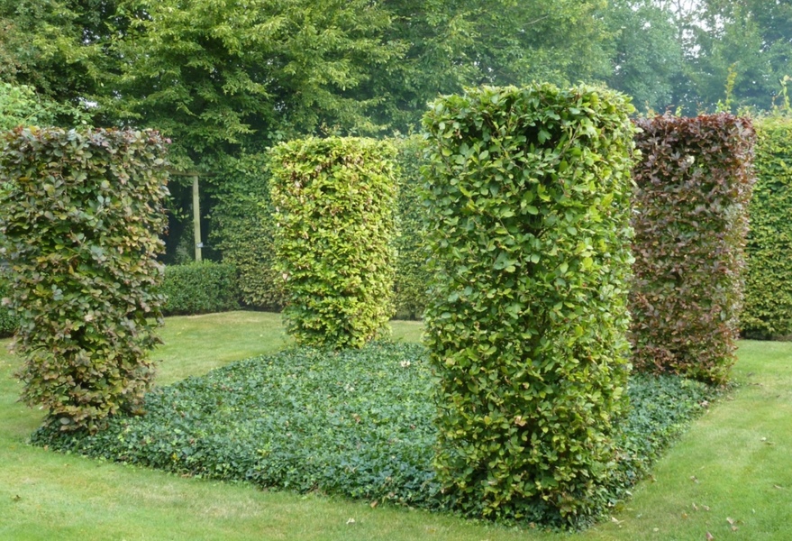 JARDINS DU MANOIR D'HÉNOCQ