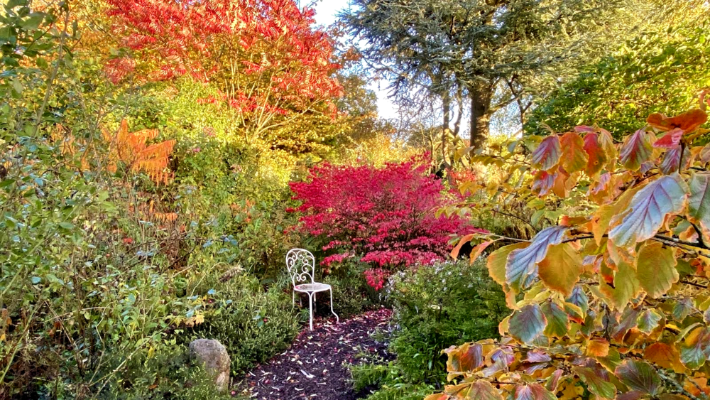 Jardin du coudray