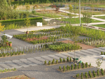 LES JARDINS DU COLYSÉE