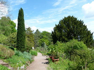 JARDIN BOTANIQUE DE SAVERNE