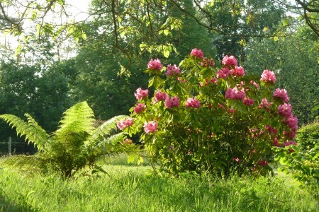 Les Jardins du Cap d'Arbon