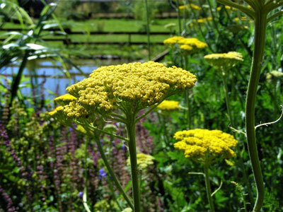 Les Jardins de Lornay