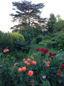 JARDIN BOTANIQUE DU PRIEURÉ D'ORCHAISE