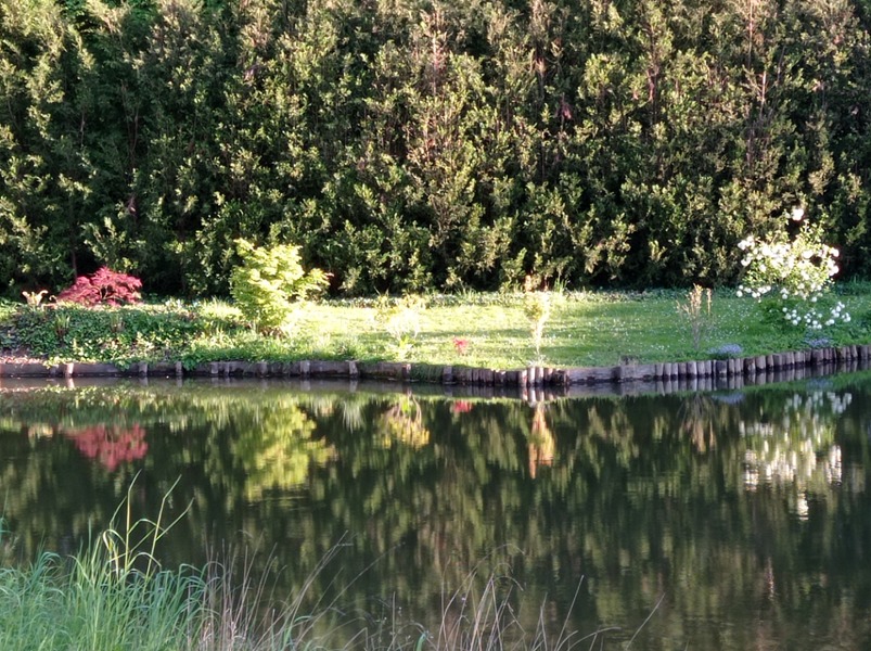 Le jardin au-delà de l'eau