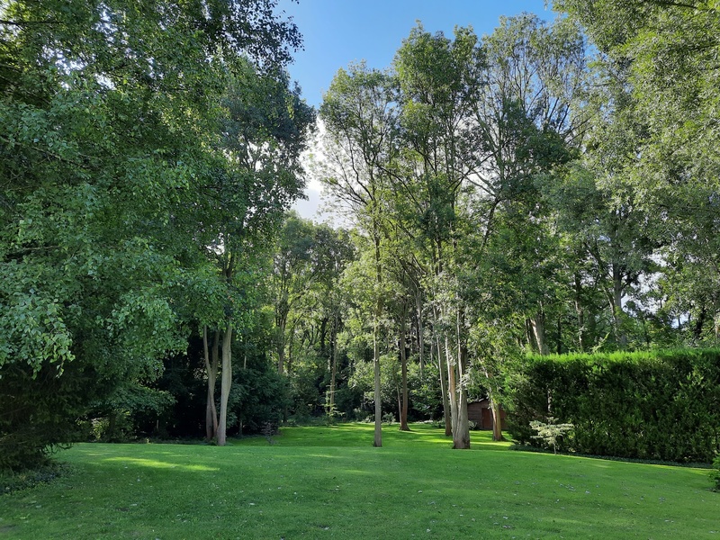 Le jardin au-delà de l'eau