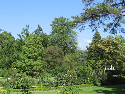 JARDIN DES PLANTES