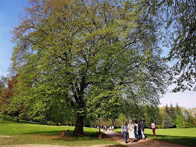 PARC DU CHÂTEAU DE LA VERRERIE