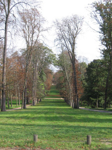 DOMAINE NATIONAL DE SAINT-CLOUD