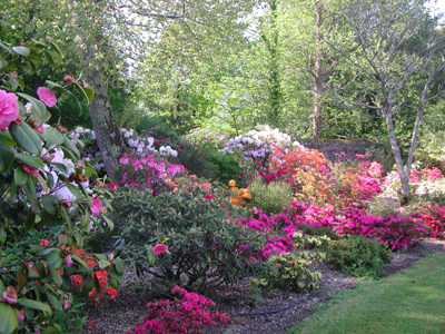 JARDINS DU CHÂTEAU DU GUILGUIFFIN