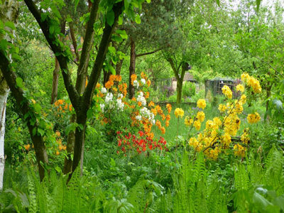 Le Jardin de Brigitte