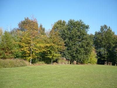 JARDIN DU CHÂTEAU DE BELLECHASSE