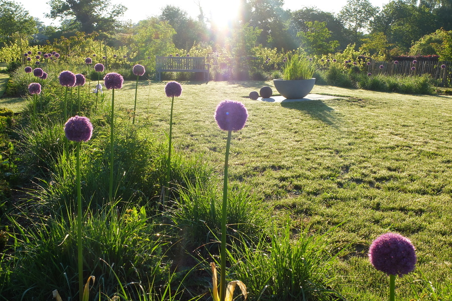 LE JARDIN DE MARIE