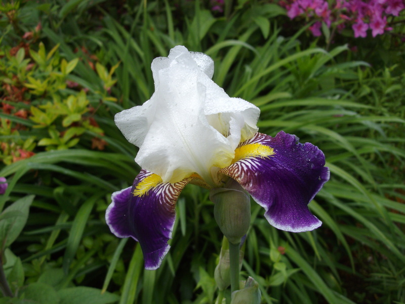 Un Jardin à Landrévarzec