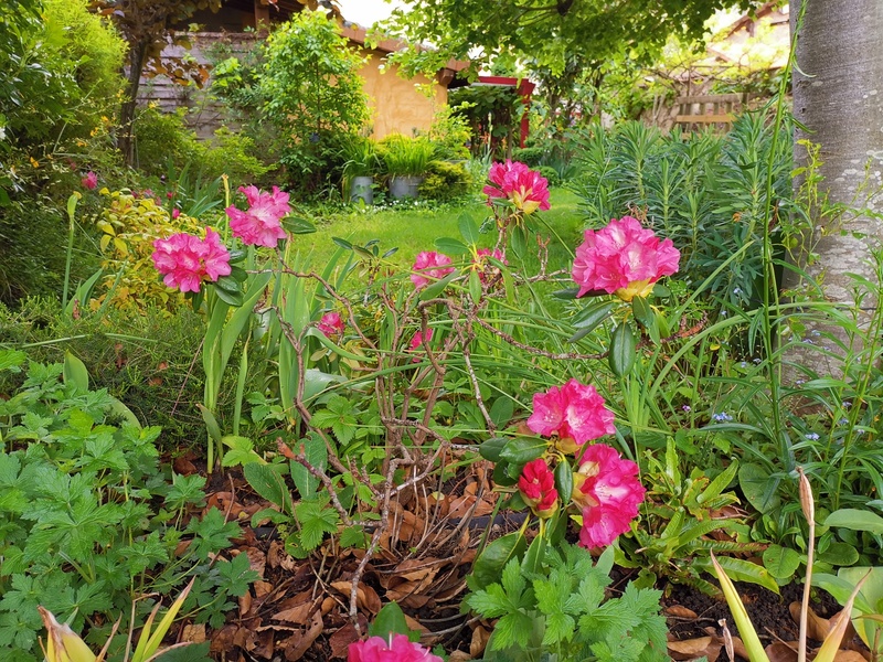 Jardin botanique de la Florendière