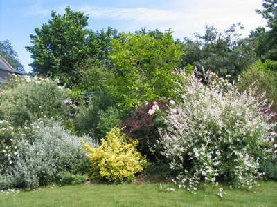 LE JARDIN DE LA PLAGE VERTE