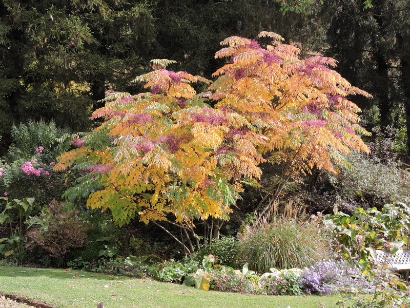 Jardin "Le Quenti"