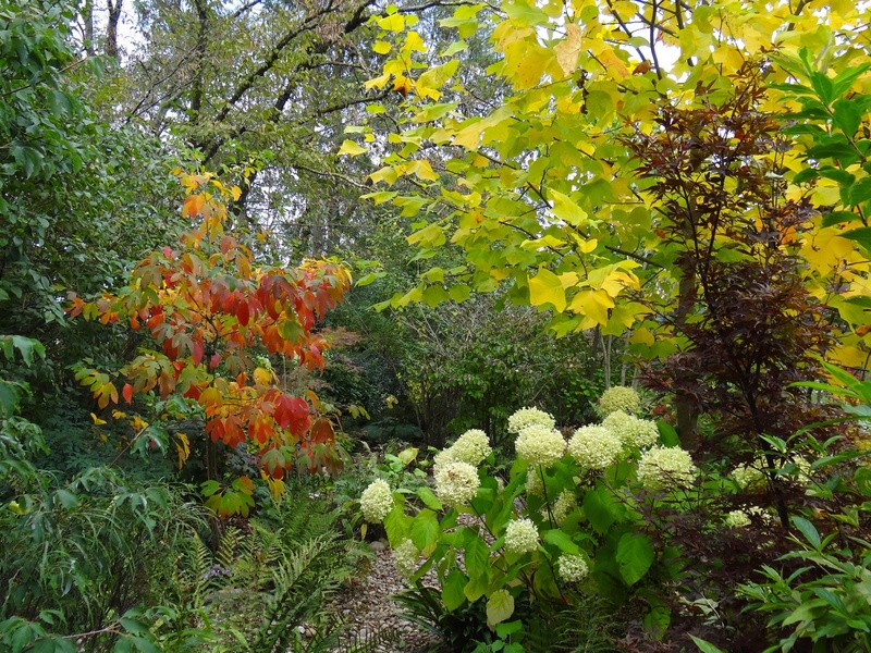 JARDIN DU GRAND CHARME