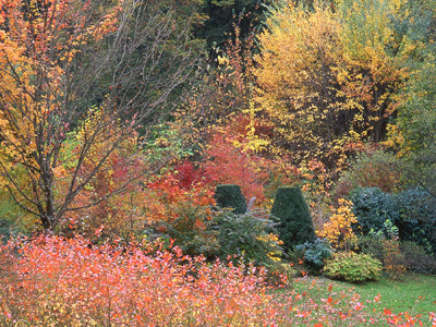 ARBORETUM DE LA SEDELLE