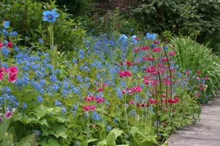 JARDIN DE BERCHIGRANGES