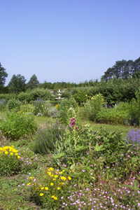 CHÂTEAU ET JARDIN À LA FRANÇAISE DE VAIRE-LE-GRAND