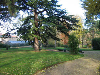 JARDIN DES PLANTES