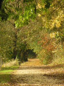 ARBORETUM DU CHEMIN DE LA DECOUVERTE