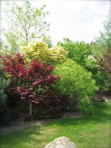 LE PARC LA TERRE PIMPRENELLE