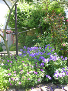 LES JARDINS DE MONTUBOIS