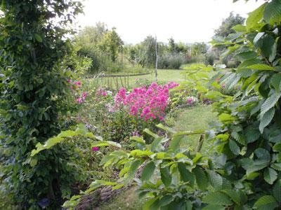 Le Jardin d'Elisée