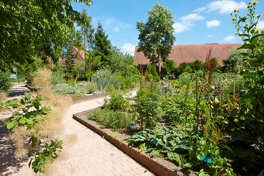 JARDIN DES PLANTES MEDICINALES MATHIAS DE L'OBEL